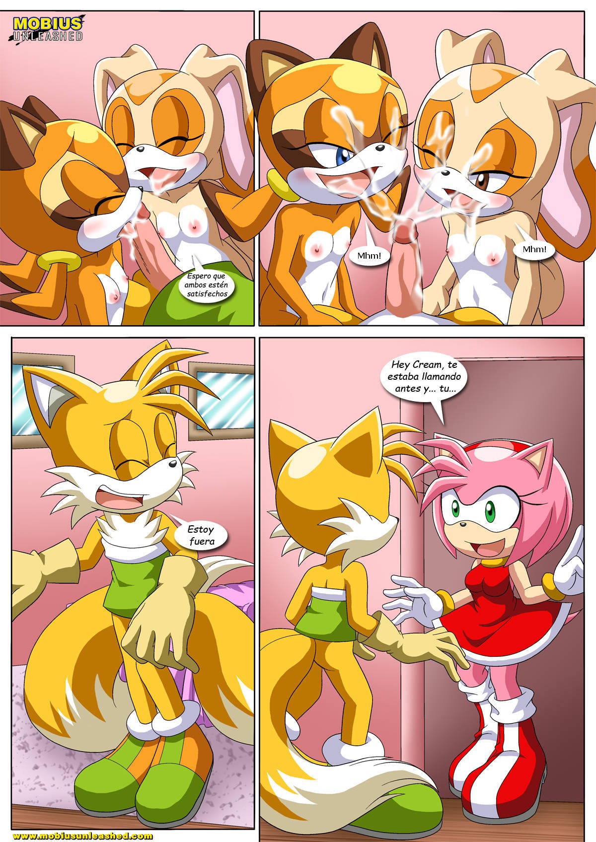 Rouge x tails