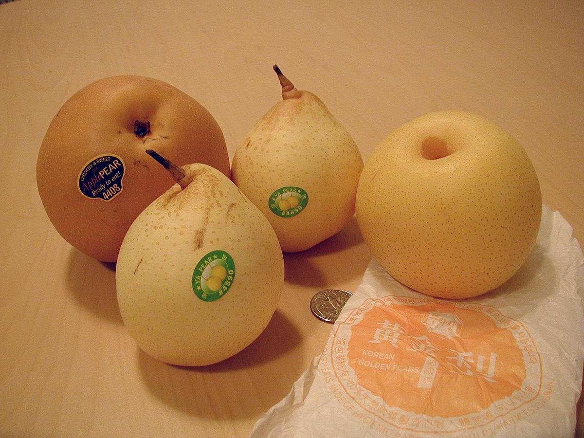 best of Pear wiki Asian
