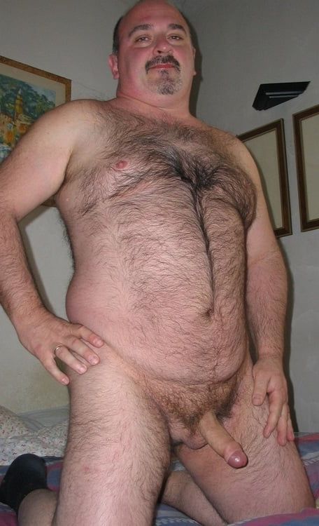 best of Bears nudist