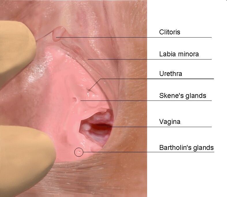 Why do my ears ring after an orgasm